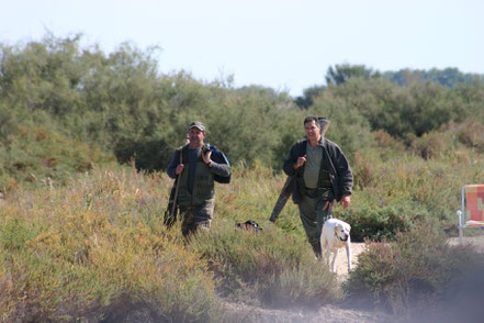 Bild: Jäger in der Camargue, Provence