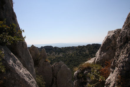 Bild: Wanderung in den Dentelles de Montmirail 