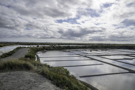 Bild: Salinen an  der "Route des Marais" auf der Presqu´île de Guérande  