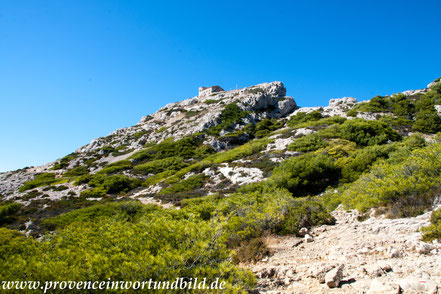 Bild: Wanderung bei Callelongue zur Calanque Marseilleveyre 