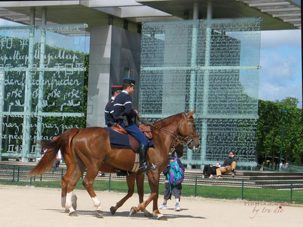 Bild: Champ de Mars, Paris 