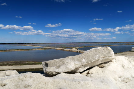 Bild: in den Salinen von Aigues-Mortes 