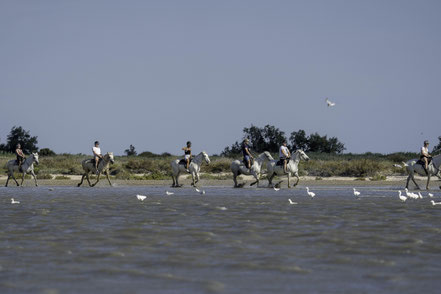 Bild: Reiter in der Camargue in Saintes-Maries-de-la-Mer