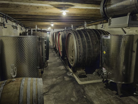 Bild: Im Keller des Bio-Weinguts André Carl & Fils in Dambach-la-Ville