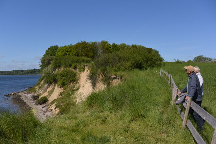 Rundgang Ochseninsel