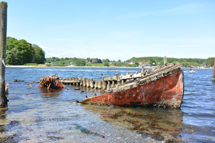 Wertgelände auf der Ochseninsel
