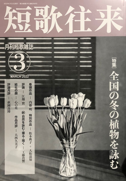 バックナンバーのご案内 ながらみ書房