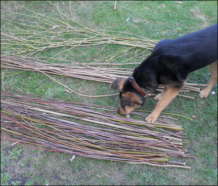 Storchennest bauen