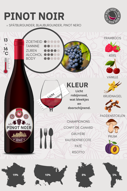 Wat is Pinot Noir Wijn Infographic