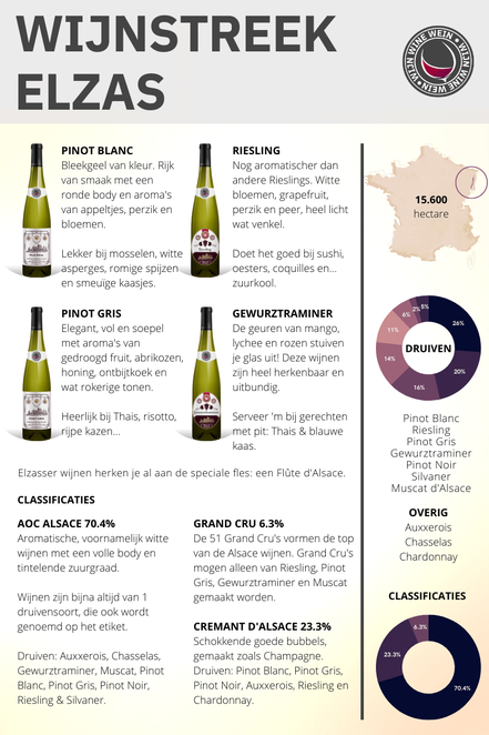 Wijngebied Elzas Infographic