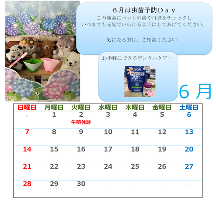 大垣市動物病院　岩田ペットクリニックは救急夜間診療は電話にて対応