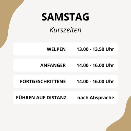 Hundeschule aktuelle Kurszeiten 1210 Wien AKC-Hundeschule, Sonntag: Welpen 13.00 - 13.50 Uhr, Anfänger, Forteschritten 09.00 - 11.00 Uhr, Sportschutz nach Absprache