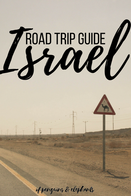 Israel ofpenguinsandelephants of penguins & elephants Road Trip Guide Exploring Israel Pinterest