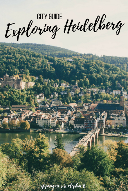 Heidelberg Germany ofpenguinsandelephants of penguins & elephants City Guide Exploring Heidelberg Pinterest