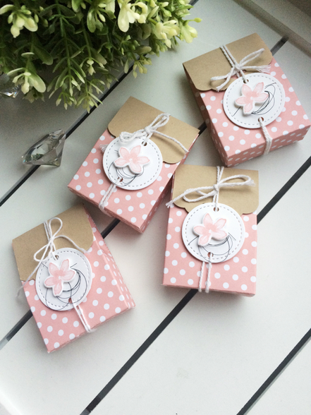 Stampin Up Goodie Verpackung Mitbringsel Tüte Kleinigkeit Kirschblüte Designerpapier