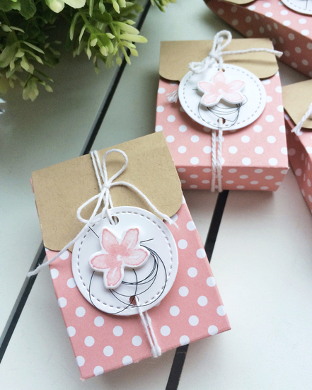 Stampin Up Goodie Verpackung Mitbringsel Tüte Kleinigkeit Kirschblüte Designerpapier