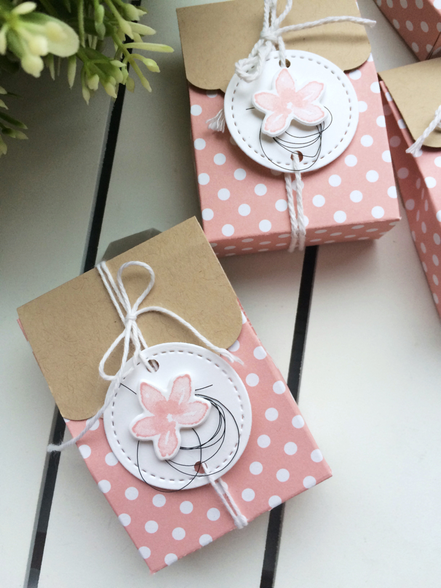 Stampin Up Goodie Verpackung Mitbringsel Tüte Kleinigkeit Kirschblüte Designerpapier
