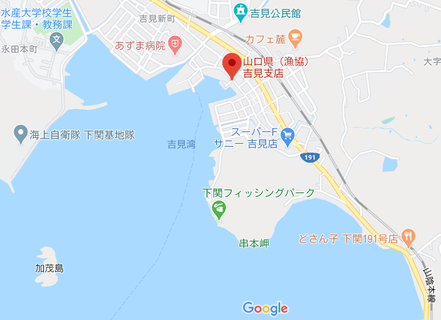 山口県漁業協同組合吉見支店地図