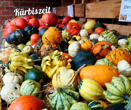bunte Zier- und Speisekürbisse gibt's im Hofshop vom Hof Hartmann in Rettmer