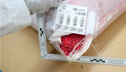 cocaine smuggling in plastic