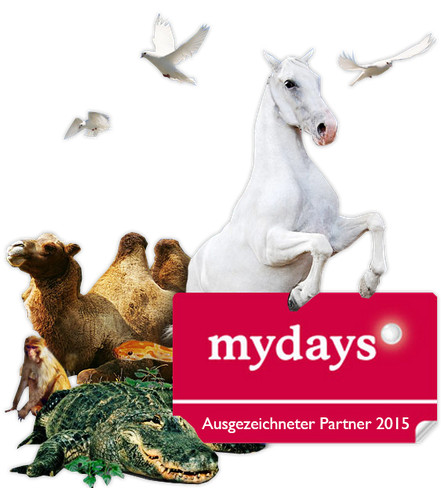 ausgezeichneter Partner 2015 bei mydays.de