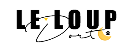 bloggeuse mode