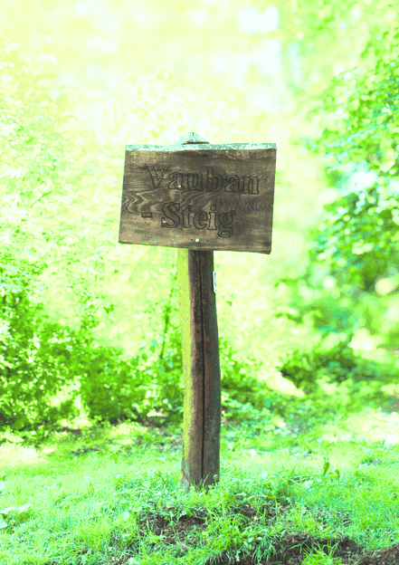  Rustikaler Holzwegweiser mit der Aufschrift „Vauban-Steig“ an einem Waldrand - Treffpunkt-Saarland