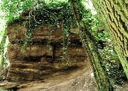 Rote Sandsteinfelswand im Wald - Treffpunkt Saarland