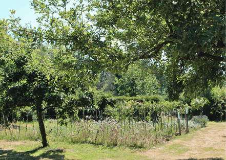 Oase der Ruhe zwischen Rosenbeeten und Bäumen in der Gartenanlage Welschbach