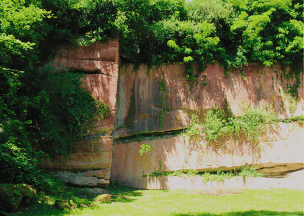 Felswand inmitten von dichtem Grün - Treffpunkt-Saarland