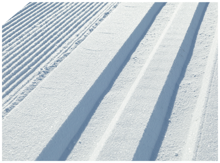 Our cross-country tracks are exactly as they should be: outstanding snow consistency with perfect tracking characteristics