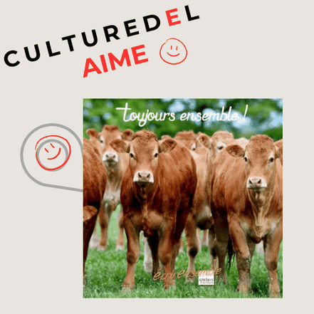 Culturedel aime Ecrirensemble et ses ateliers d'écriture.