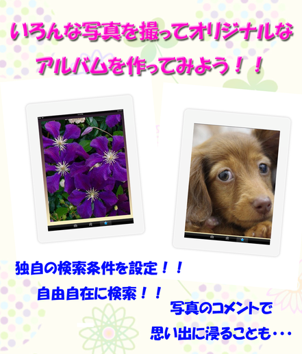 スマートフォンアプリ　スマホアプリ　写真管理　画像管理　フォトちゃん　画像2
