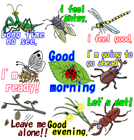 line sticker insects 