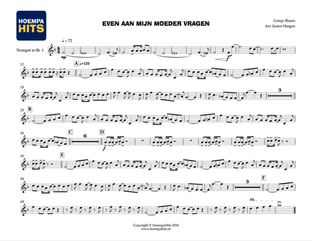 Alleen naar de Kermis Thijs Boontjes Show en Dansorkest Arrangement Dweilorkest Dweilband Hofkapel