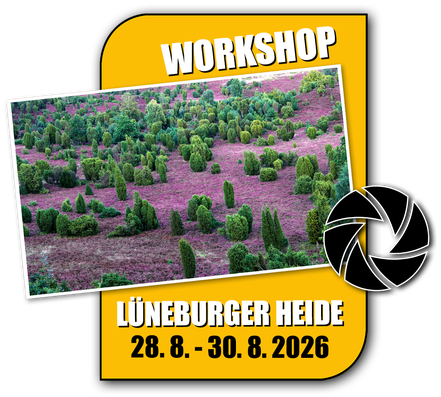 Link zum Fotoworkshop Lüneburger Heide
