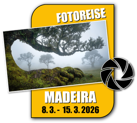 Link zur Fotoreise Madeira