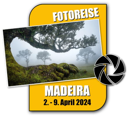 Link zur Fotoreise Madeira