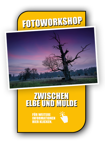 Link zur Fotoreise Landschaftsfotografie im Auenland