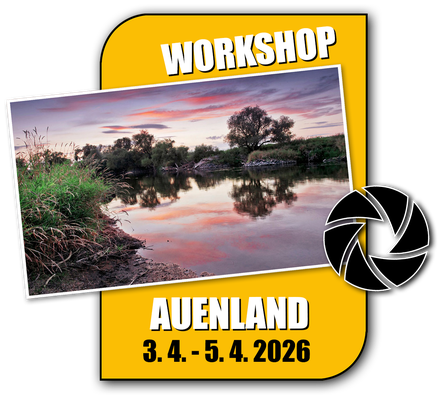 Link zur Fotoreise Landschaftsfotografie im Auenland