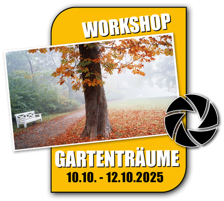 Link zum Fotoworkshop Gartenträume