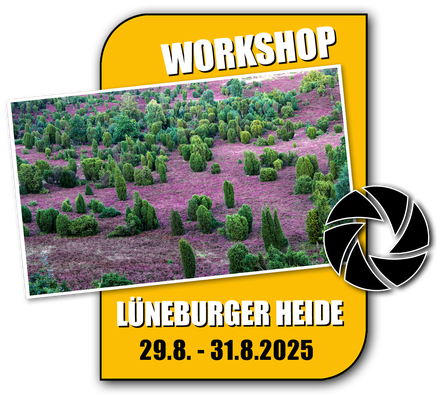Link zum Fotoworkshop Lüneburger Heide
