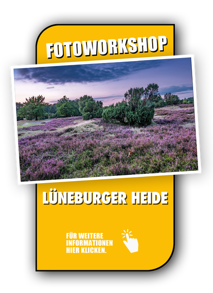 Link zur Fotoreise Lüneburger Heide