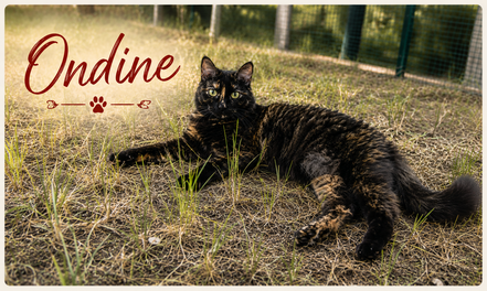 ONDINE, 7 ans, pas ok animaux, besoin d'un jardin