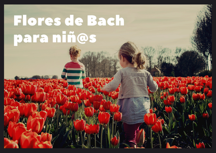 Flores de Bach para niños y niñas