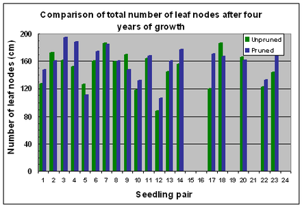 Fig. 15 Variation in numbers of leaf nodes after 4 years of growth