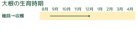 大根の生育時期