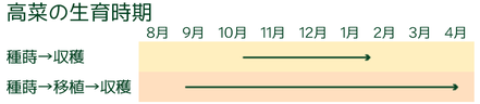 高菜の生育時期