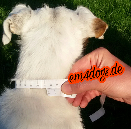 em4dogs.de Hundehalsband messen