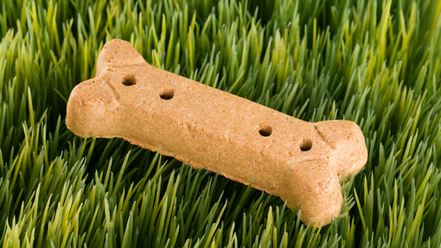 Galletas para perros